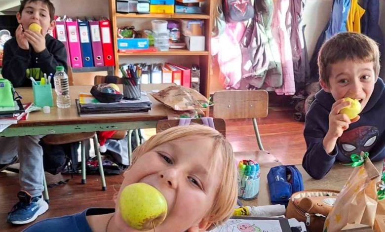 Estudo revela que os alunos das escolas do distrito melhoram hábitos alimentares ao implementarem o projeto “Heróis da Fruta”
