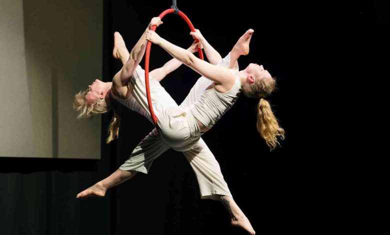 Imaginarius vai integrar finalistas e recém-diplomados de escolas de circo internacionais no programa oficial Imaginarius vai integrar finalistas e recém-diplomados de escolas de circo internacionais no programa oficial