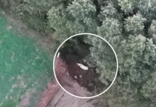 GNR localiza idoso de 93 anos desaparecido com auxílio de Drone