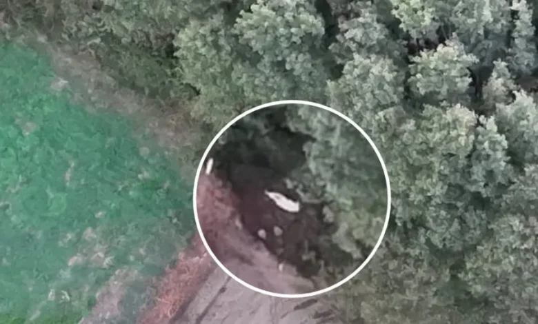 GNR localiza idoso de 93 anos desaparecido com auxílio de Drone