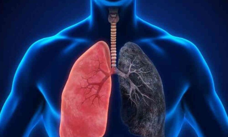 O Cancro do Pulmão Não Tira Férias: O peso invisível da doença
