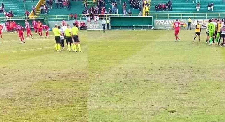 Ovarense vence Salgueiros e mantém liderança no Campeonato de Portugal (série B)
